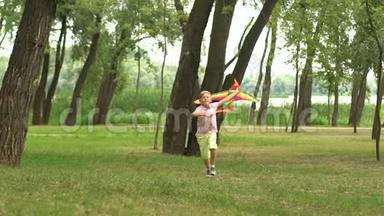 男孩在公园放风筝，<strong>童年</strong>的回<strong>忆</strong>，快乐的灵感